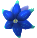 キラフロル
